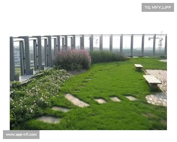 场馆屋顶绿化结合传感器，降低空调负荷两成